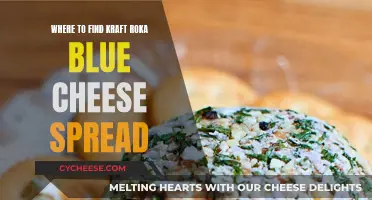 Discovering Roka Blue Cheese Spread: Kraft's Hidden Gem