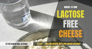 Lactose-Free Cheese: Where to Find It