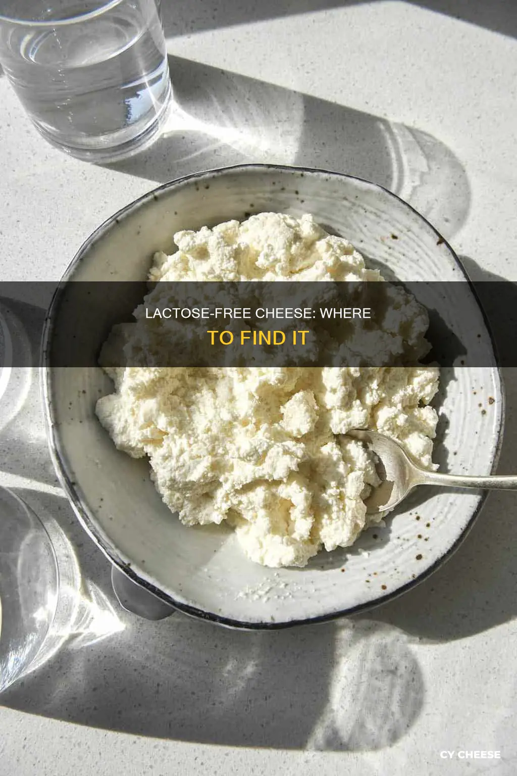 where to find lactose free cheese