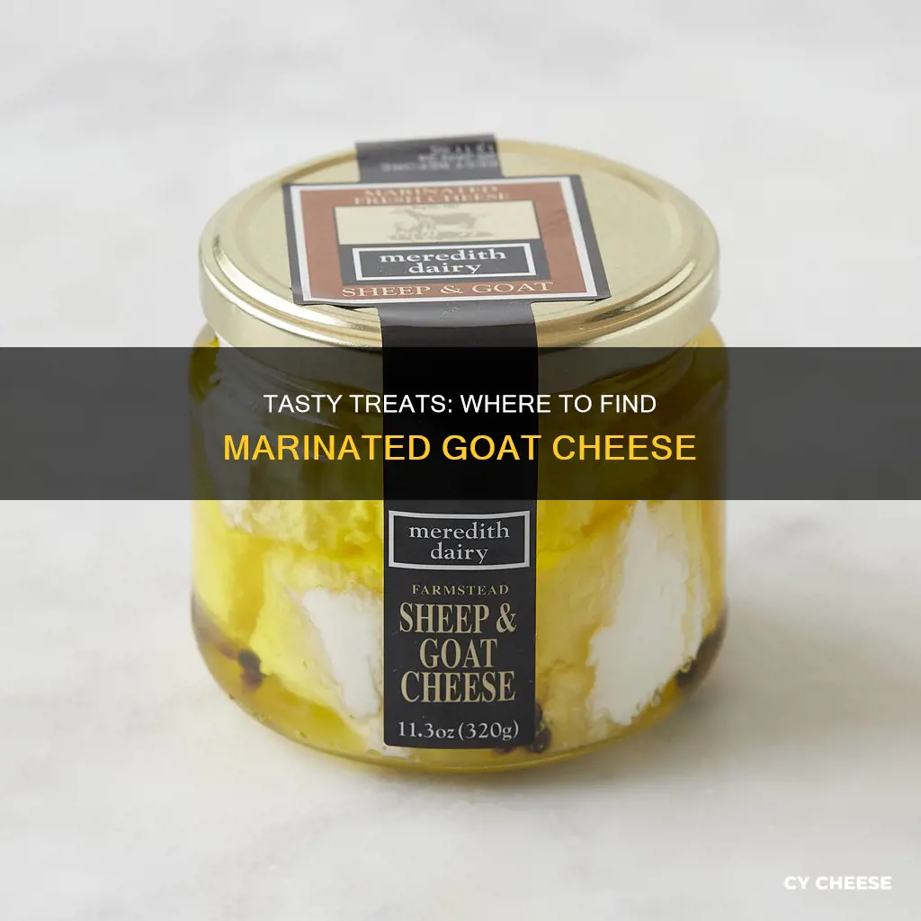 where to find marinated goat cheese