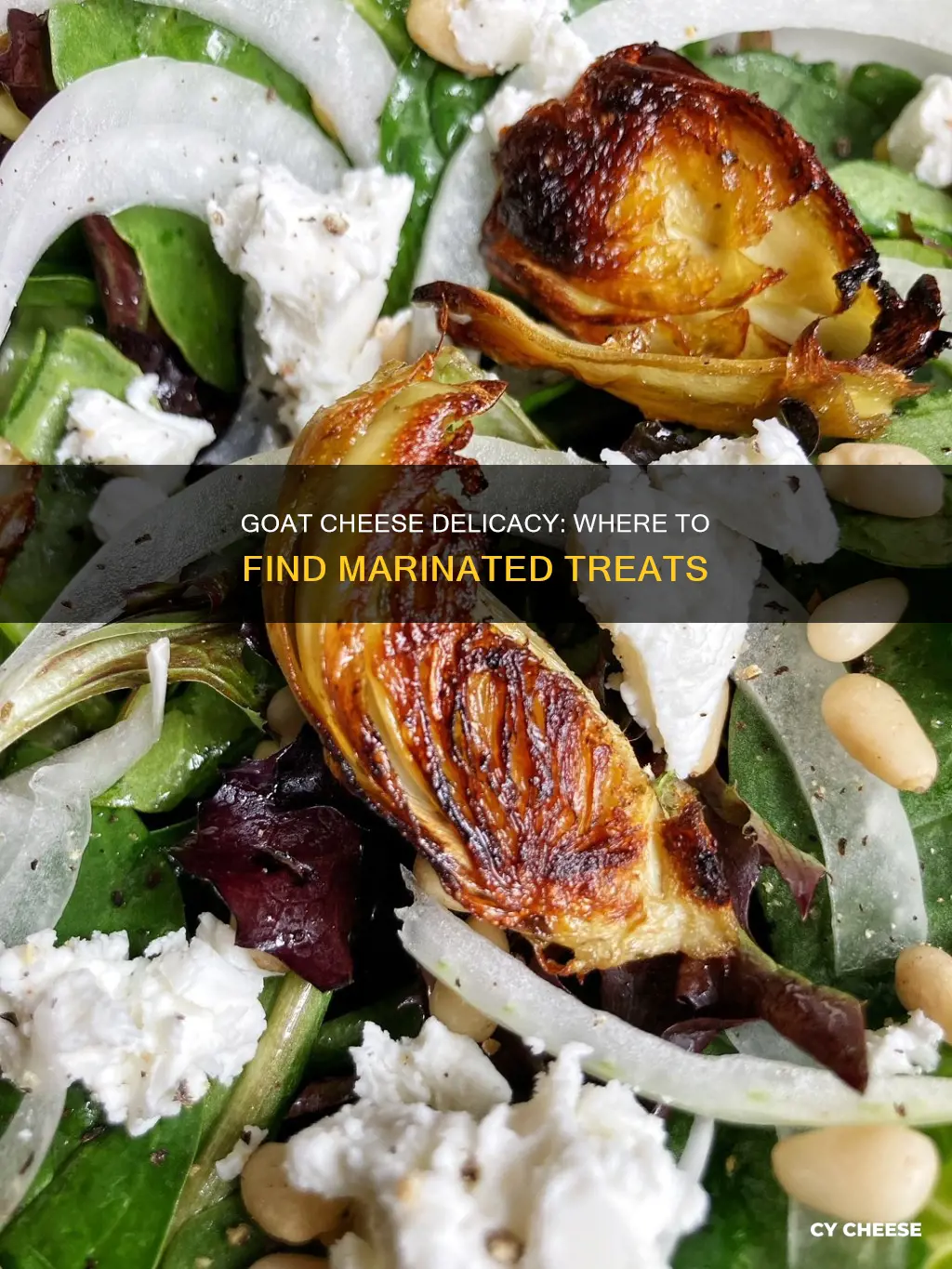 where to find marinated goat cheese