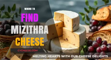 Discover Authentic Mizithra Cheese: Top Sources and Locations Worldwide