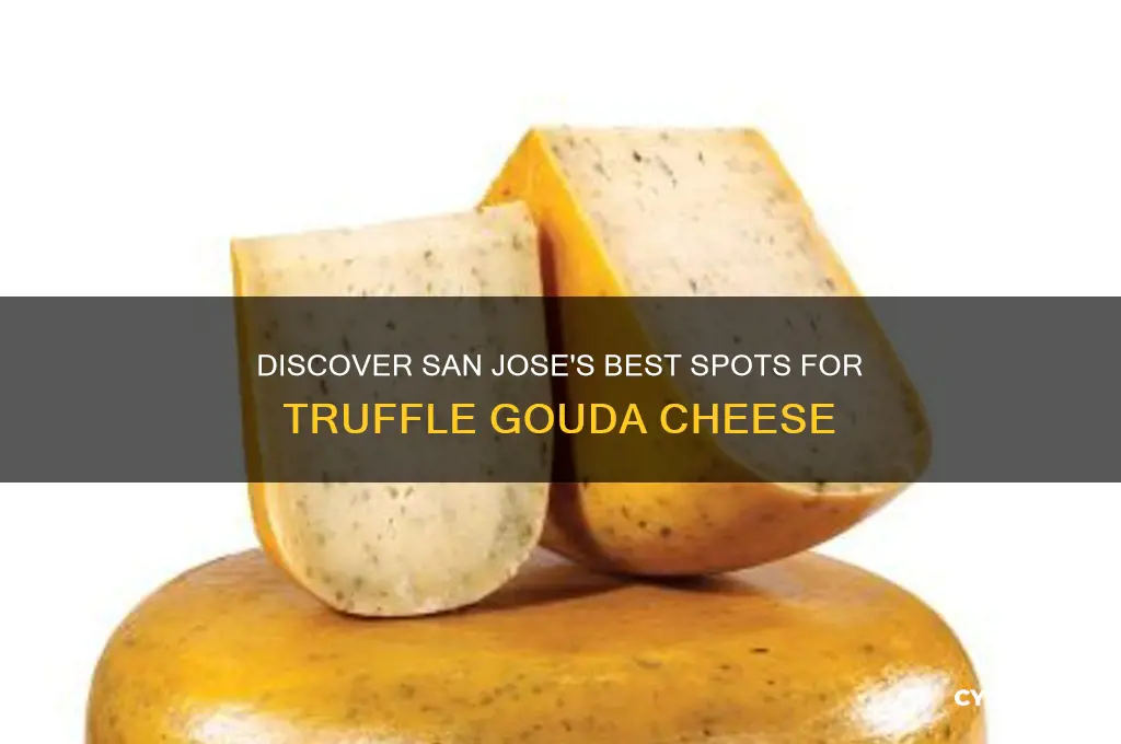 where to find truffle gouda cheese in san jose