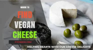 Discover the Best Spots to Find Delicious Vegan Cheese