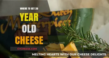 Aged Cheese: Where to Find 20-Year-Old Delicacies