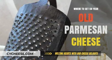 Parmesan Cheese: The 50-Year-Old Delicacy