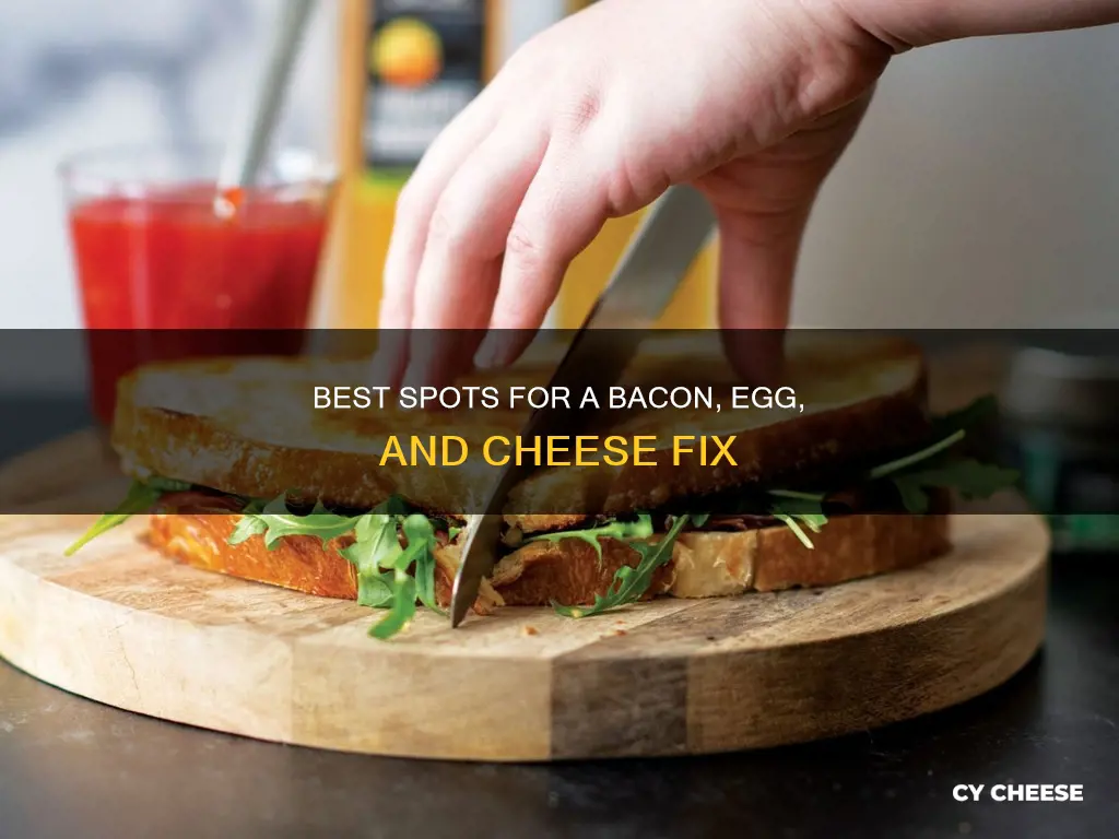 where to get a bacon egg and cheese