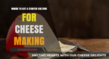 Cheese-Making: Finding Your First Culture