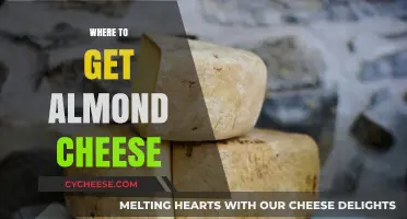 Almond Cheese: Where to Find This Delicious Treat