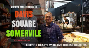 Bleu Cheese Hunt: Davis Square, Somerville