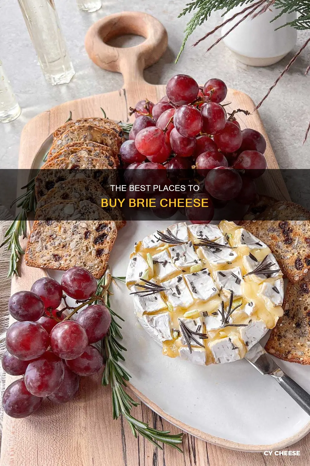 where to get brie cheese