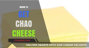 Finding Chao Cheese: Best Sources