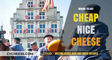 Cheese Connoisseurs: Best Places for Affordable, Quality Cheese