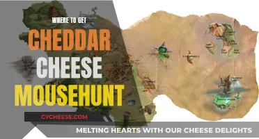 Cheese Lovers' Guide: Cheddar Mousehunt Destinations Unveiled