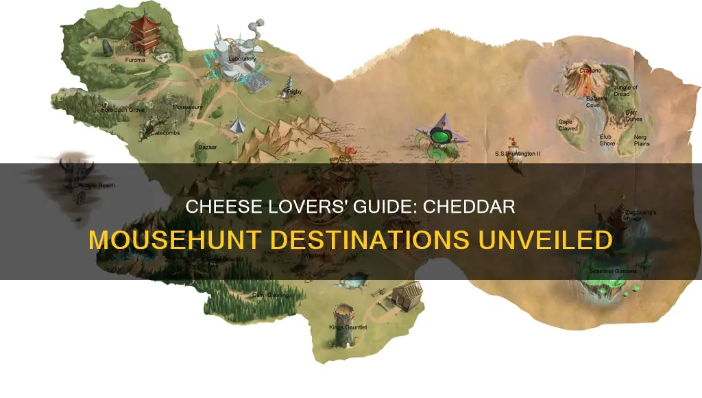 where to get cheddar cheese mousehunt