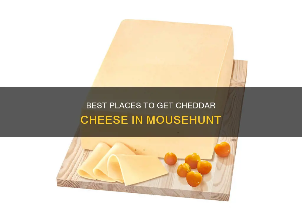 where to get cheddar cheese mousehunt