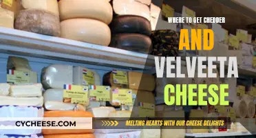 Cheese Shopping Guide: Cheddar & Velveeta Sources Revealed