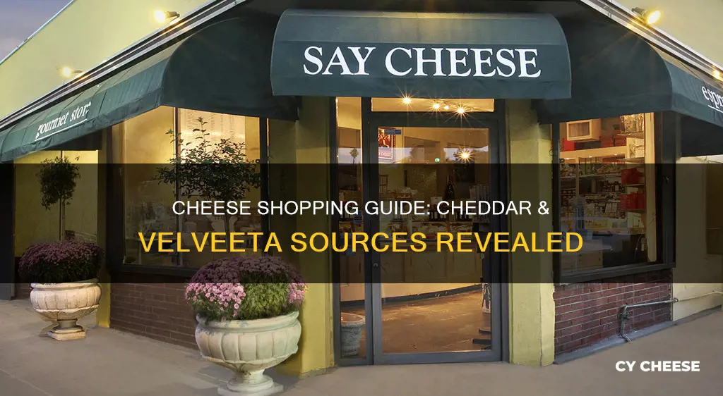 where to get chedder and velveeta cheese