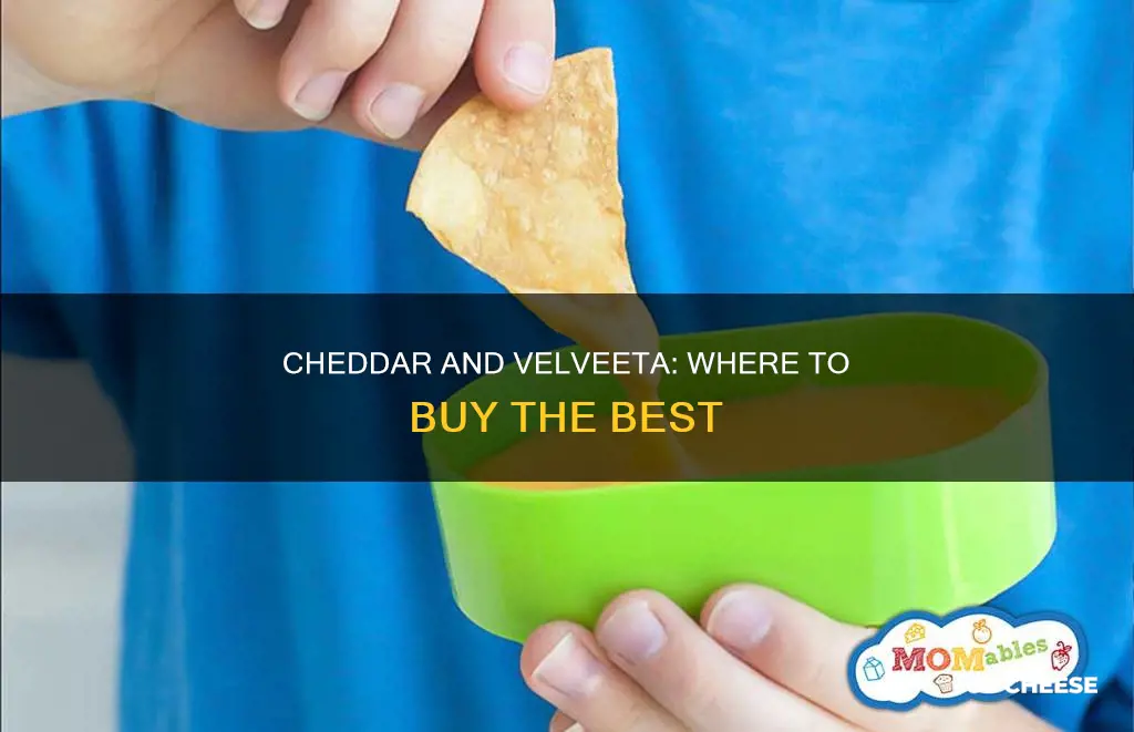 where to get chedder and velveeta cheese