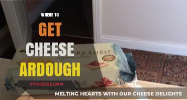 Best Places to Get Cheesy Ardough Treats