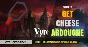 Best Ardougne Cheese Shops: A Guide