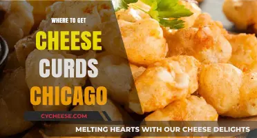 Chicago's Best Cheese Curds: Where to Get Them