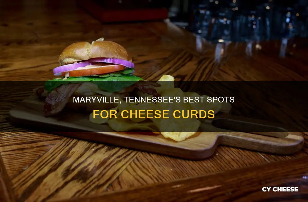 where to get cheese curds in maryville tennessee