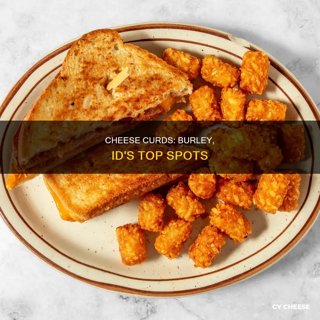 where to get cheese curds near burley id