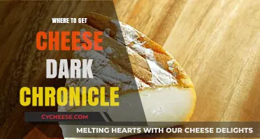 Finding Cheese in Dark Chronicle