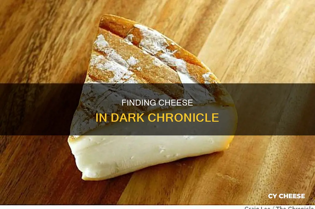where to get cheese dark chronicle