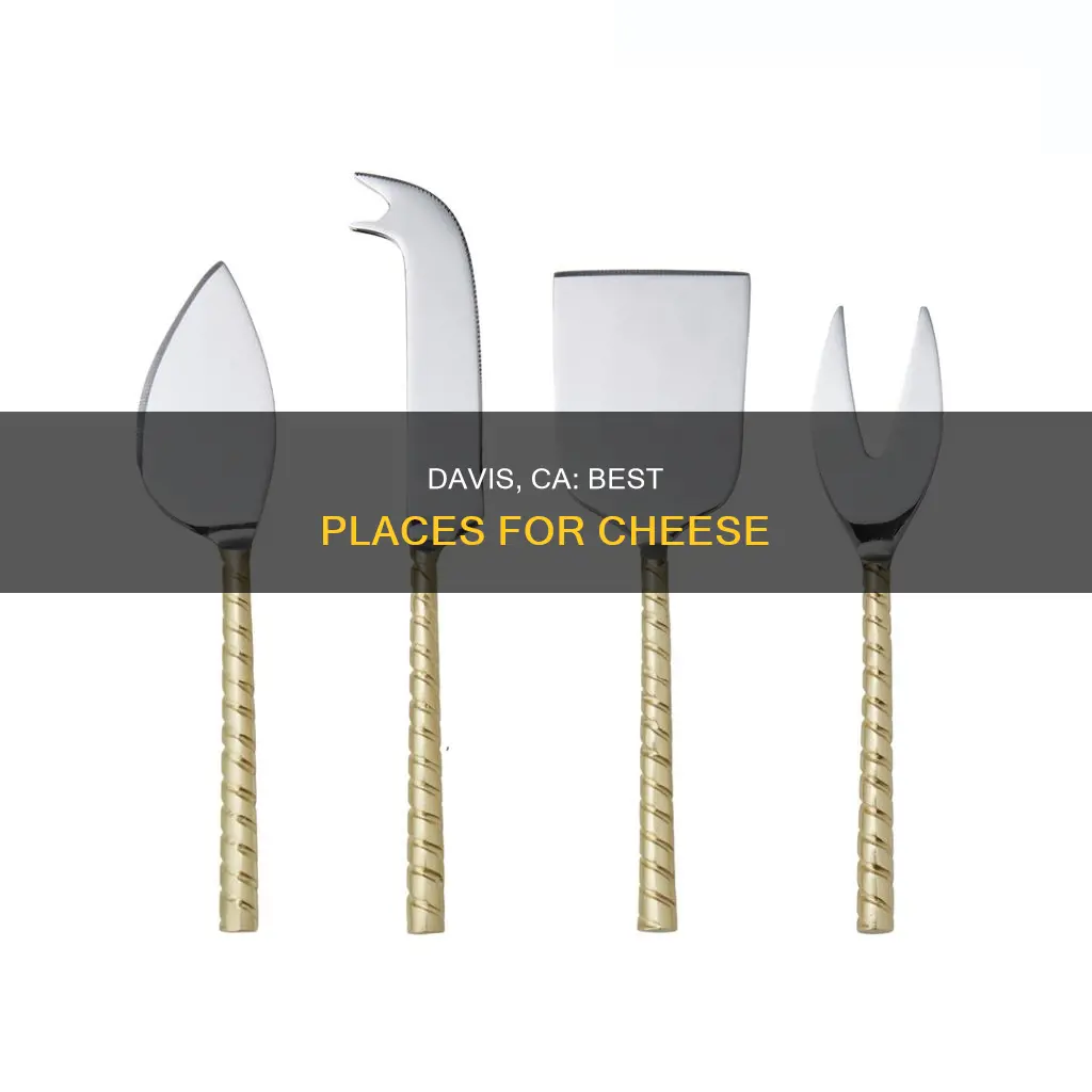 where to get cheese davis ca