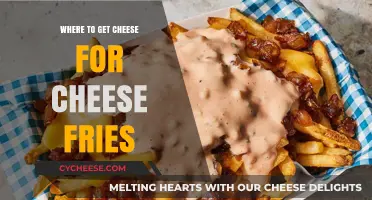 Cheese Fries: Where to Get the Best Cheese?