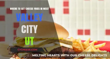 Cheese Fries in West Valley: Best Places to Try