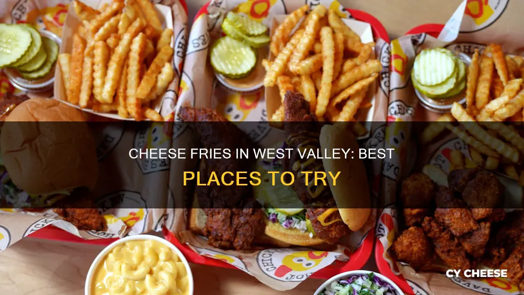 where to get cheese fries in west valley city ut