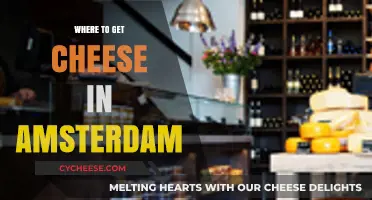 Cheese Shopping in Amsterdam: Best Places to Visit
