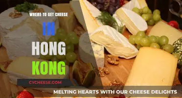 Hong Kong's Best Cheese Shops