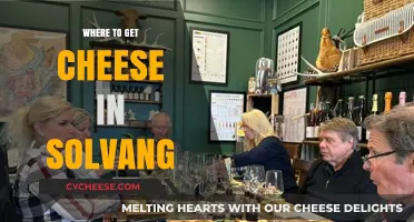 Solvang's Best Cheeses: A Tasty Tour