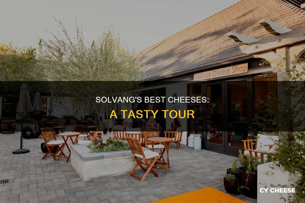 where to get cheese in solvang