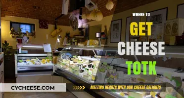 The Best Places to Get Cheese Tots