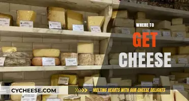 Cheese Connoisseurs: Where to Source the Best Cheeses