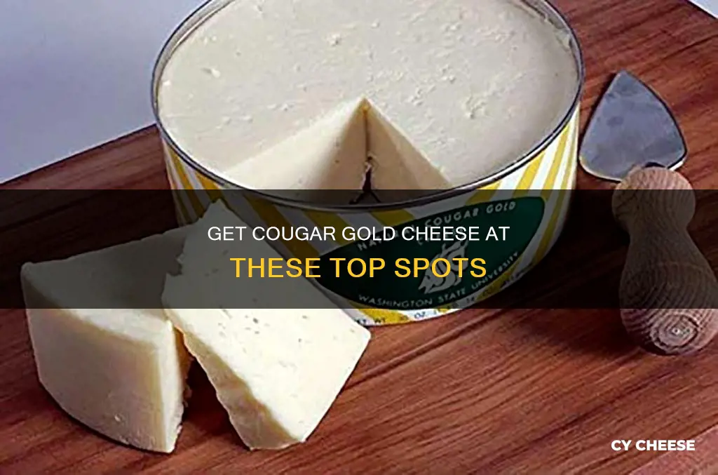 where to get cougar gold cheese