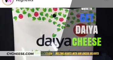 Daiya Cheese: Where to Buy This Dairy-Free Treat