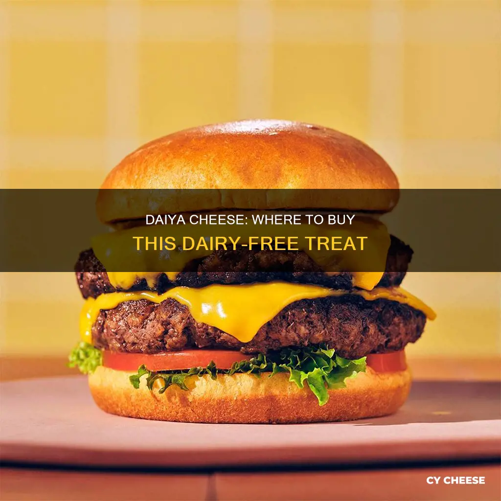 where to get daiya cheese