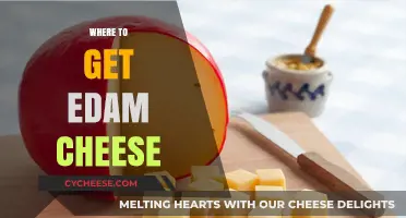Edam Cheese: Where to Buy and What to Know
