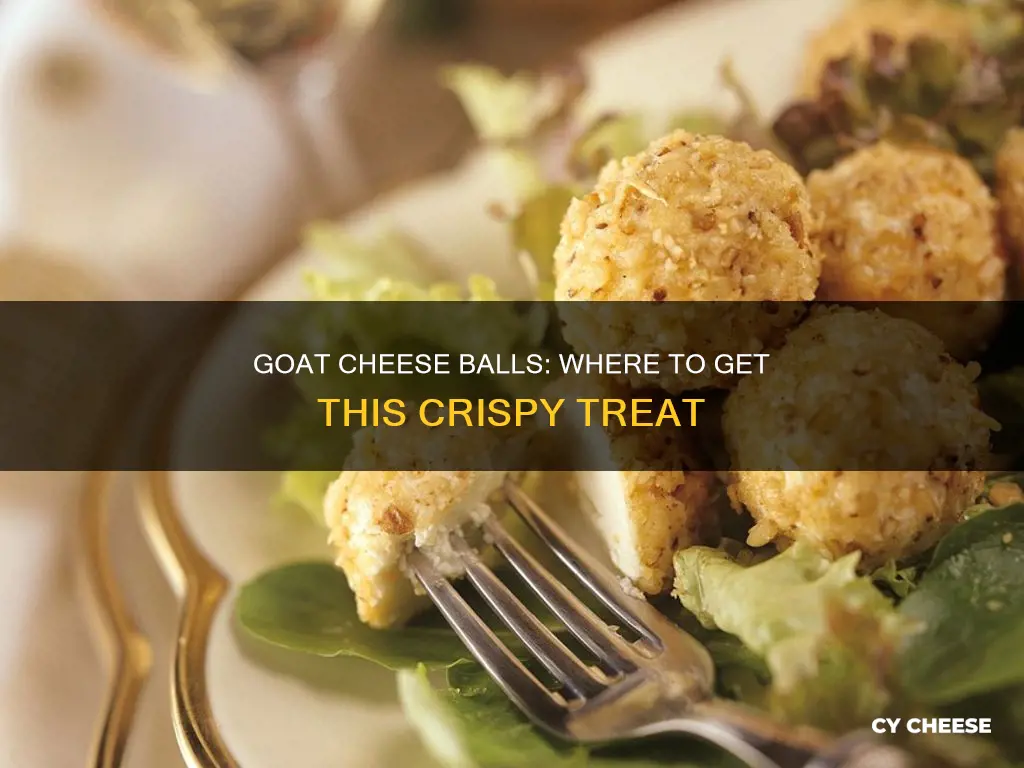 where to get fried goat cheese balls