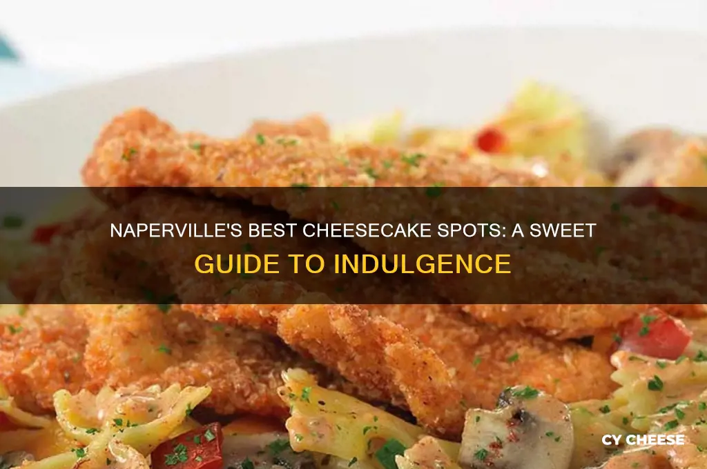 where to get good cheese cake in naperville