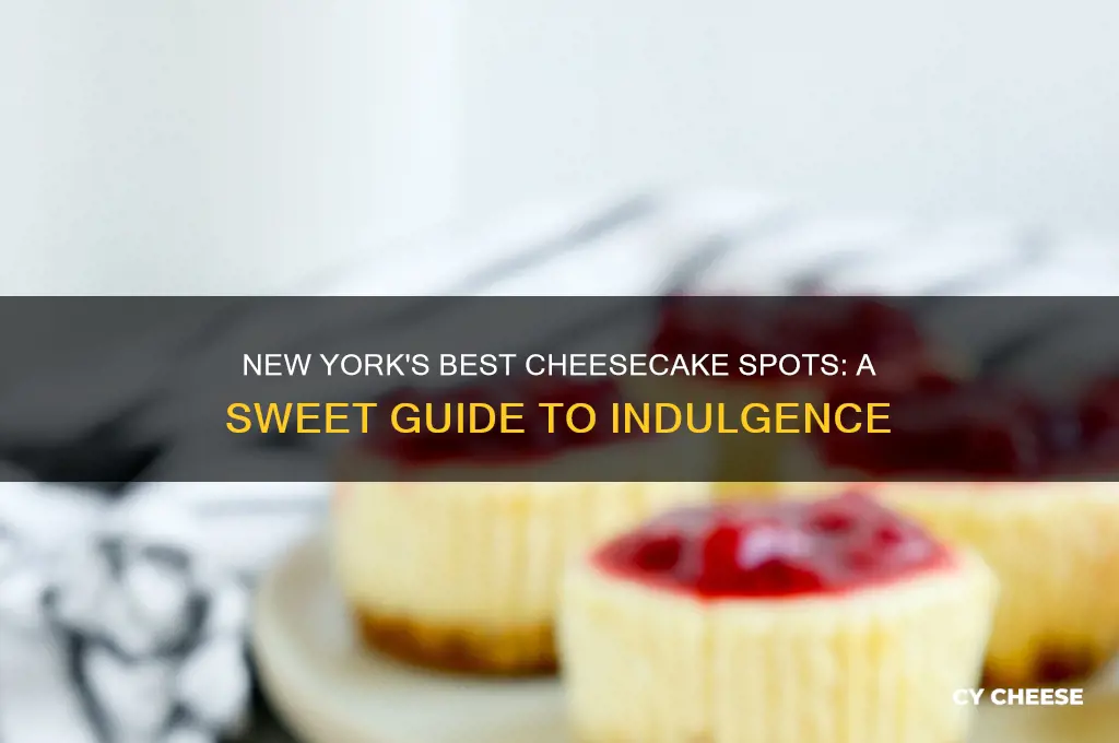 where to get good cheese cake in new york