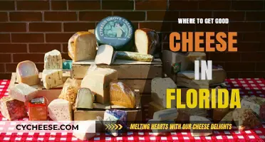 Discover Florida's Best Cheese Shops: A Tasty Guide to Artisan Delights