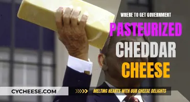 Government-Approved Cheddar: Your Guide to Finding Pasteurized Cheese