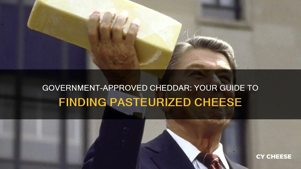 where to get government pasteurized cheddar cheese